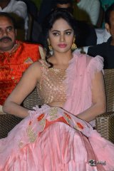 Srinivasa Kalyanam Movie Audio Launch Photos